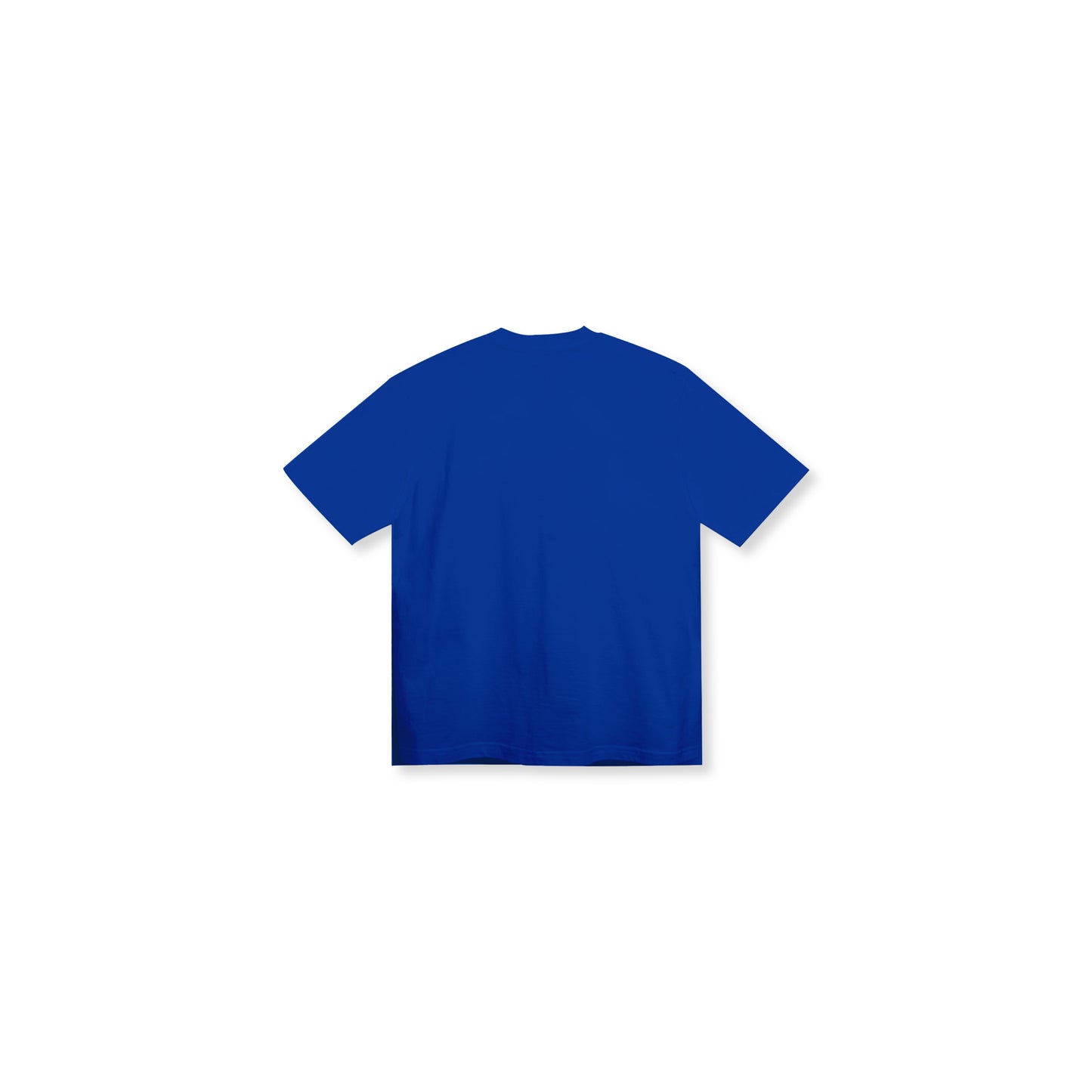 BIGO Romo Tee in Blue