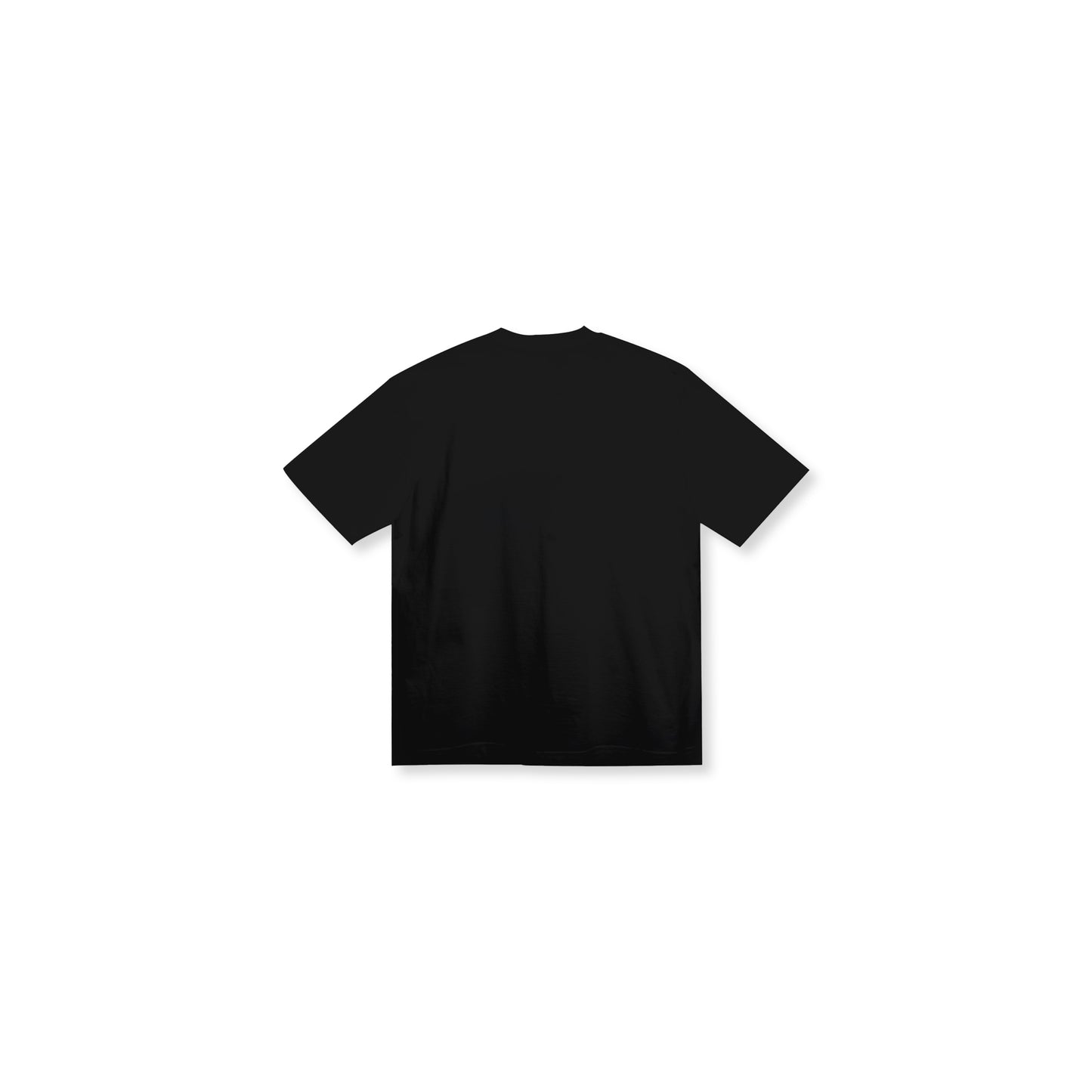 BIGO Carter Tee in Black