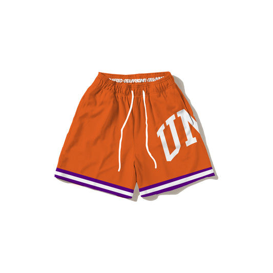 UND Arch Mesh Shorts Squash