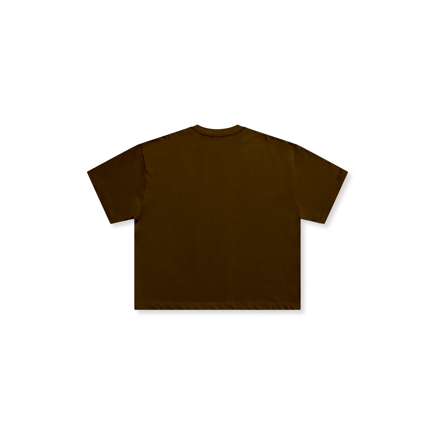 Fundamentals Blank in Choco Brown (Boxy)
