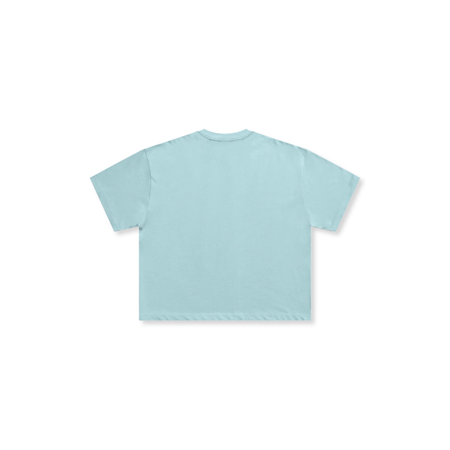 Fundamentals Blank Powder Blue (Boxy)