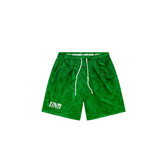 Gradient Green Baggy Mesh