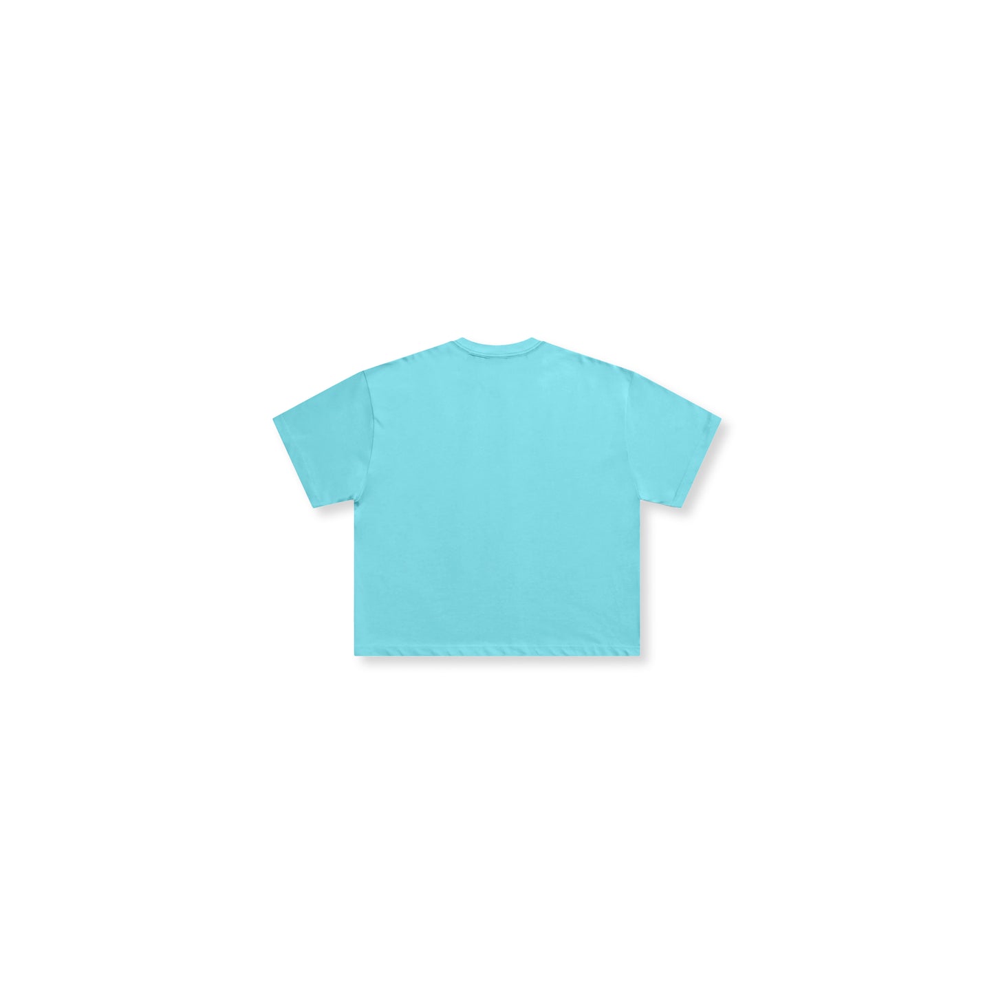 Fundamentals Blank in Icy Blue (Boxy)