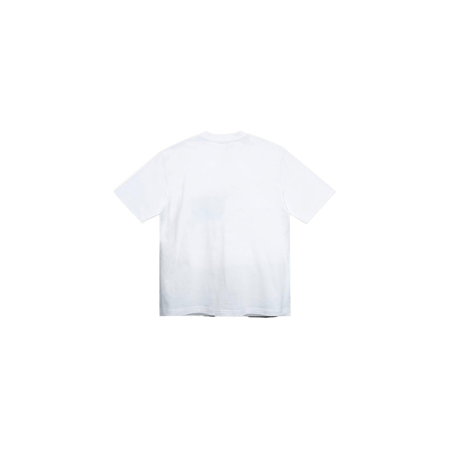 Stray Tee in White