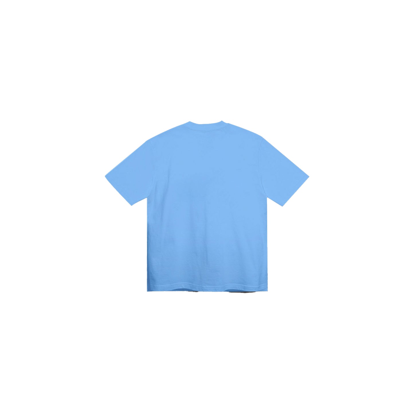 Visage Tee in Sky