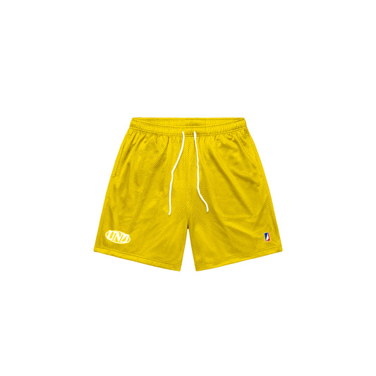 Lemon Baggy Mesh Shorts