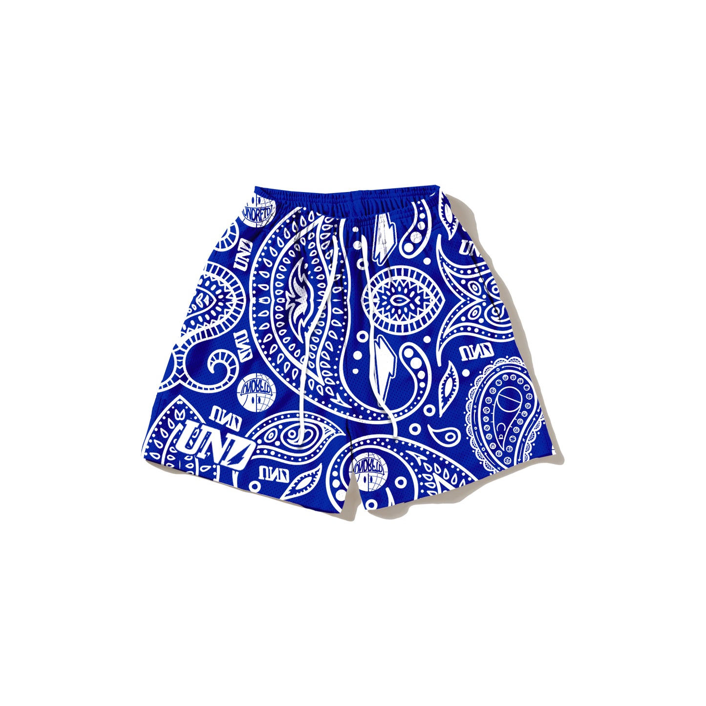 Bandana Logo Blue Mesh Shorts