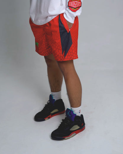 Reverse Grinch Mesh Shorts