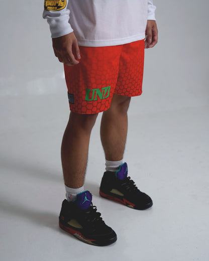 Reverse Grinch Mesh Shorts