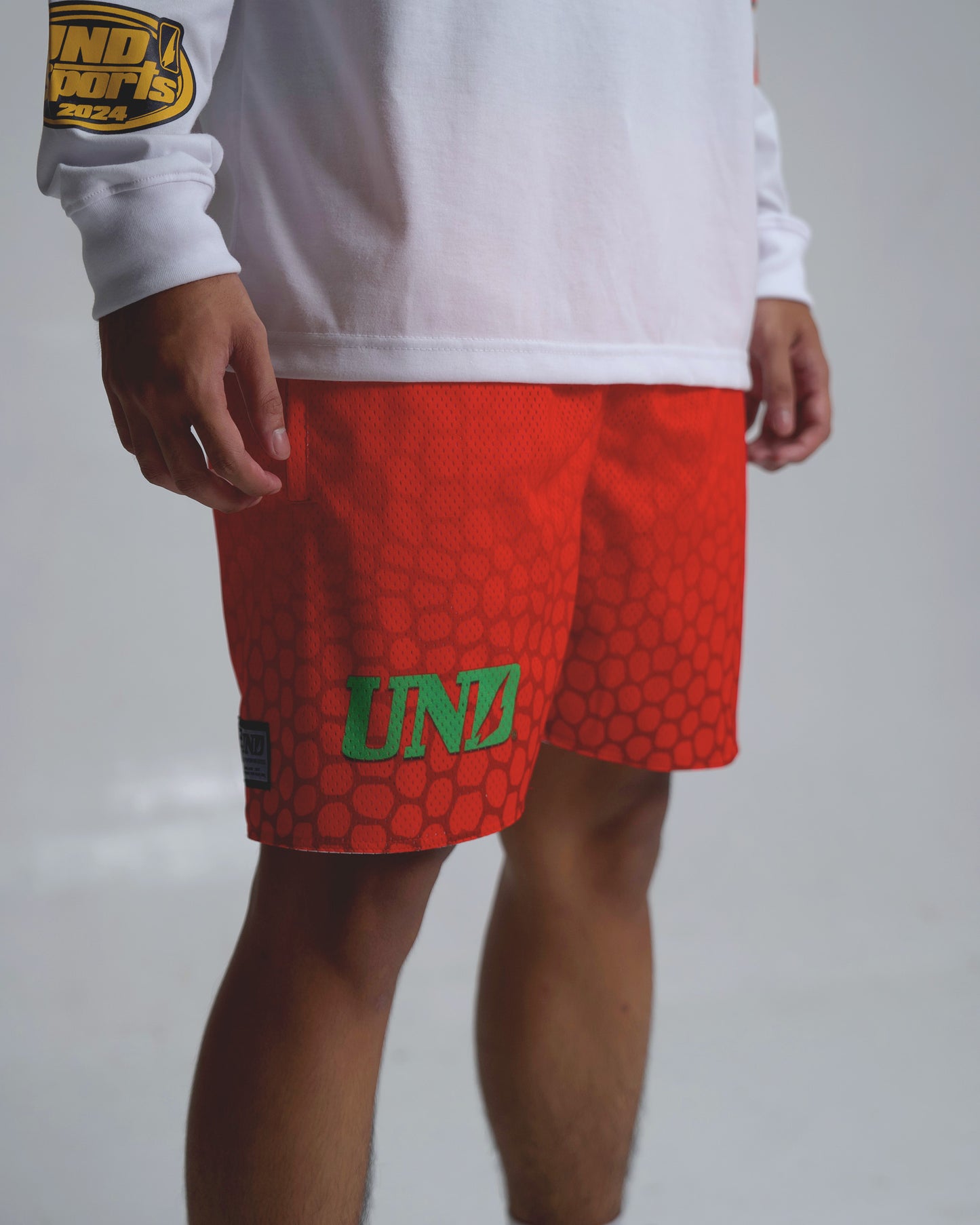 Reverse Grinch Mesh Shorts