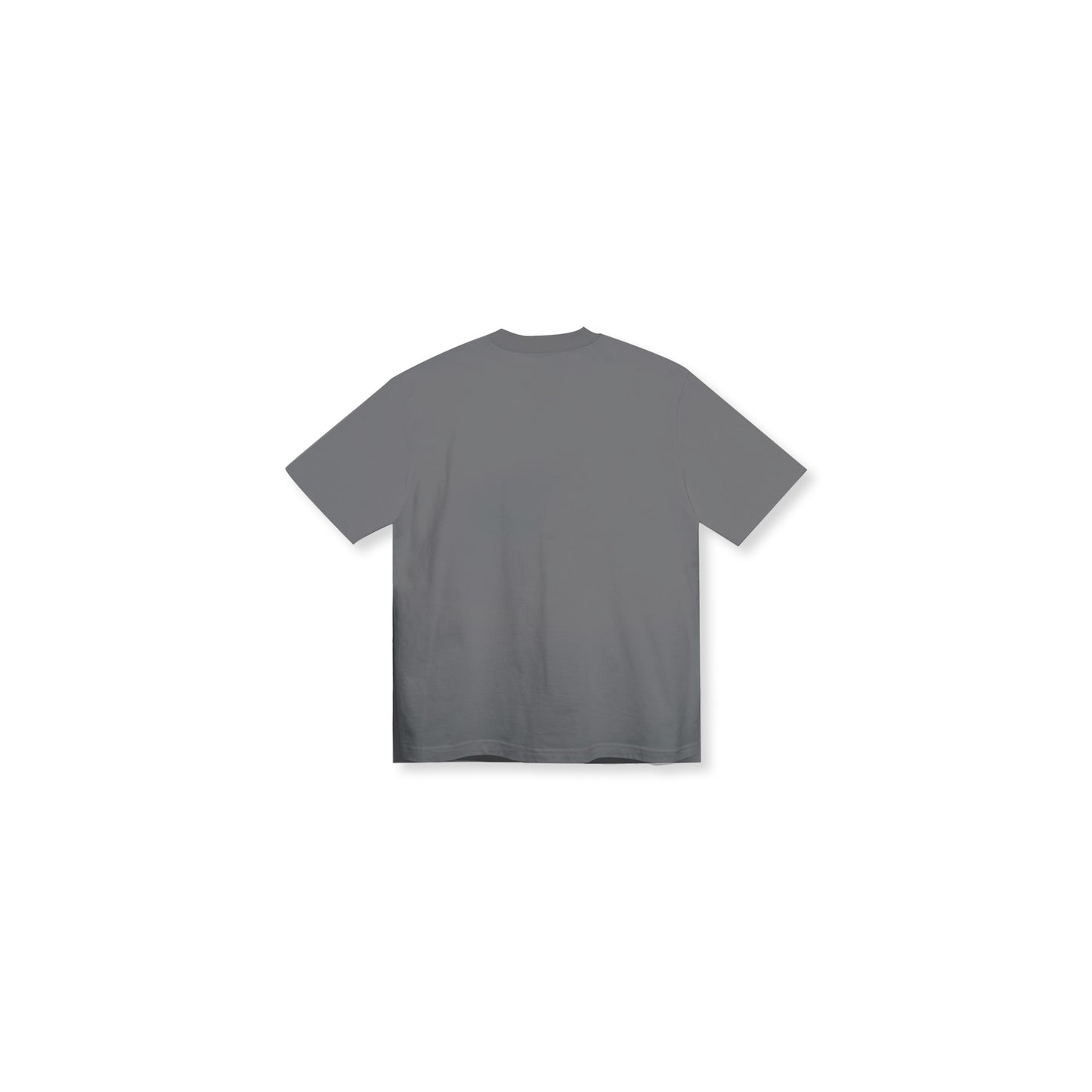 UND Embro Tee in Grey
