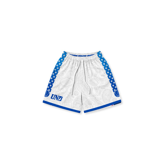 BDN City PHI Mesh Shorts