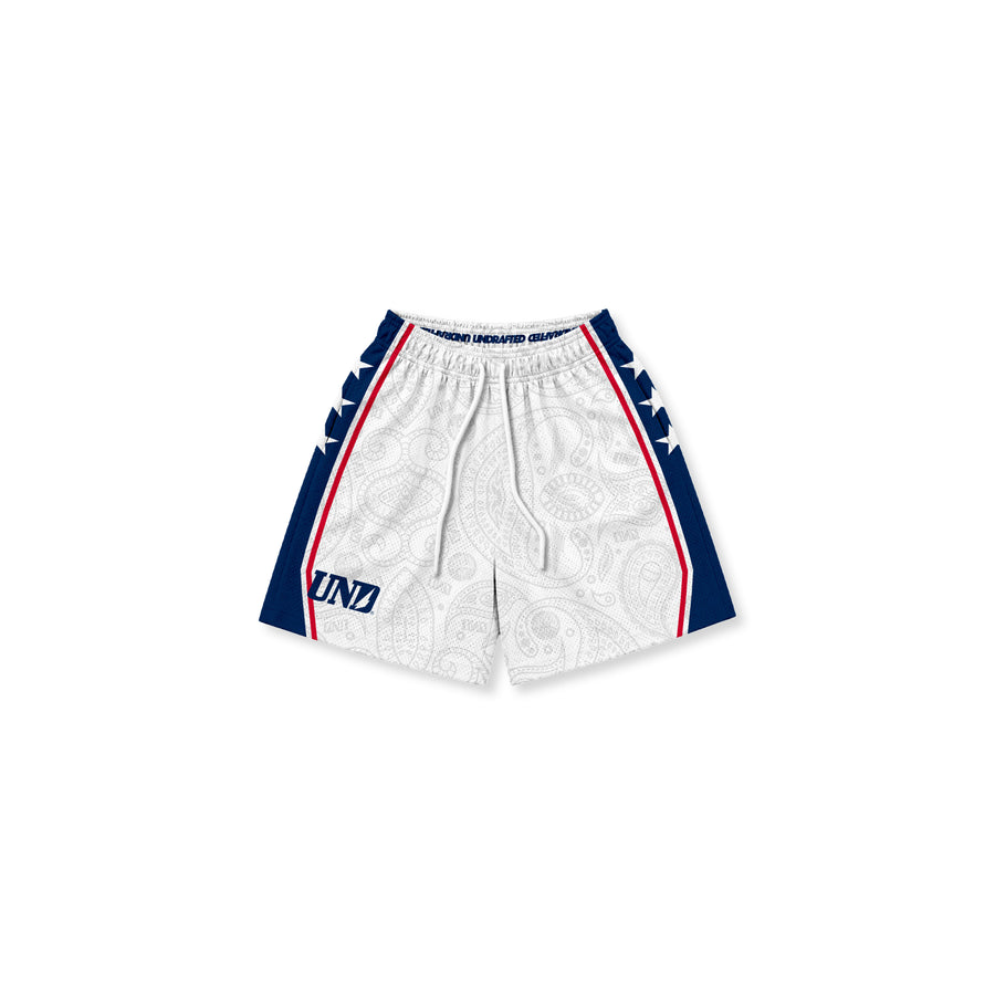 BDN City PHI Mesh Shorts