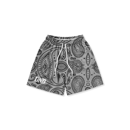 Bandana Logo Platinum Mesh Shorts