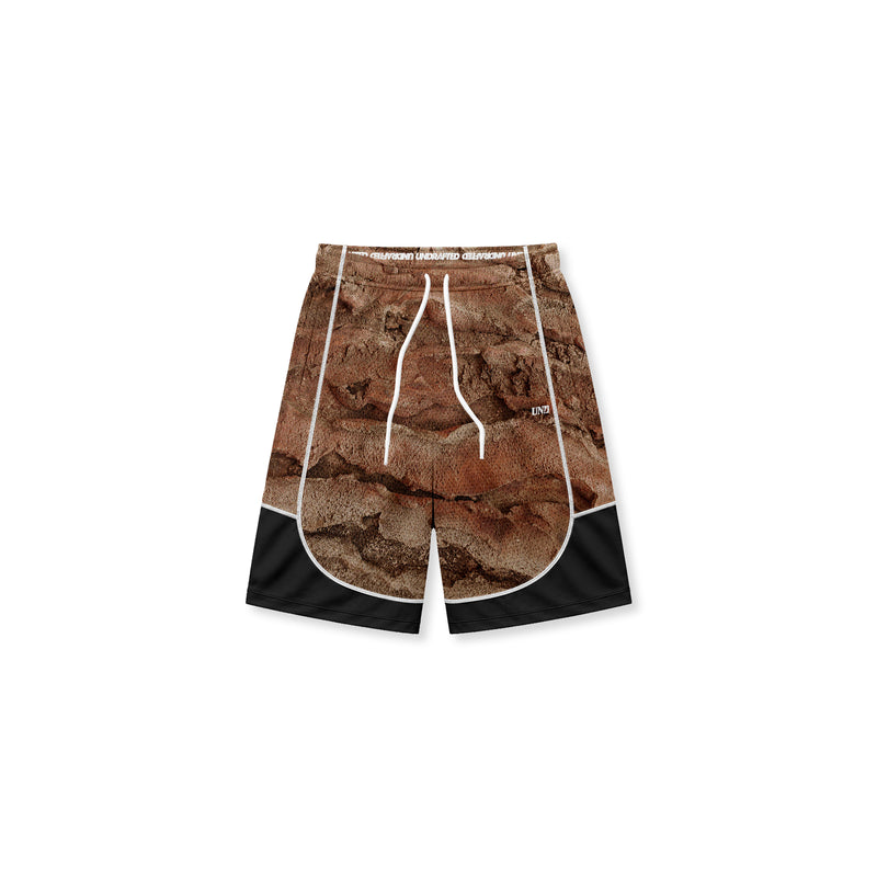 SEDIMENTS Retro Shorts