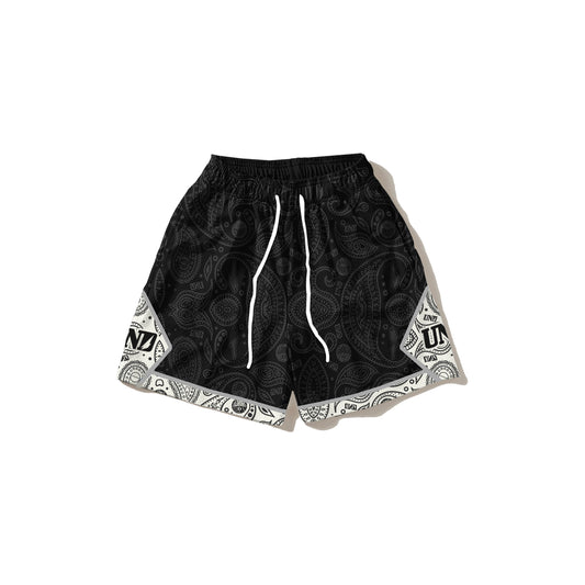 Black Diamond BDN Mesh Shorts