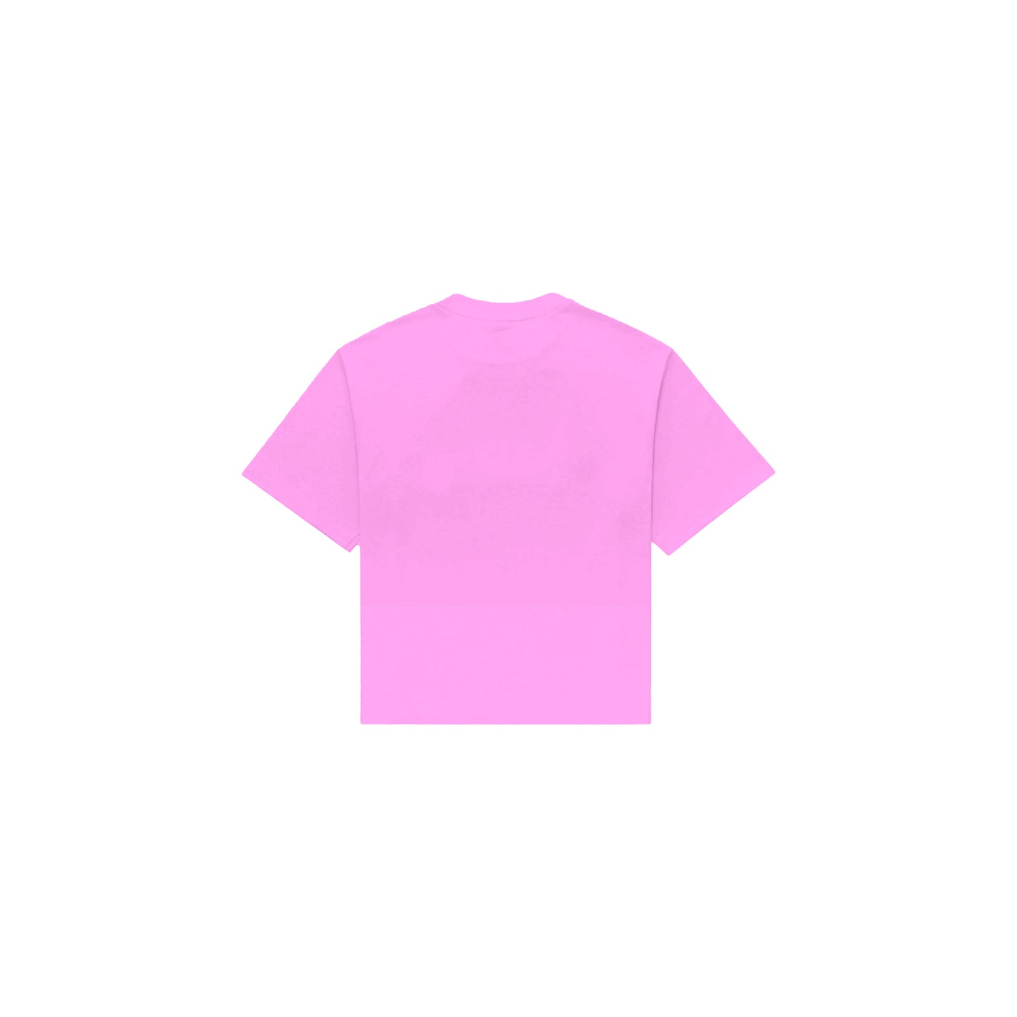 Fundamentals Blank in Pink