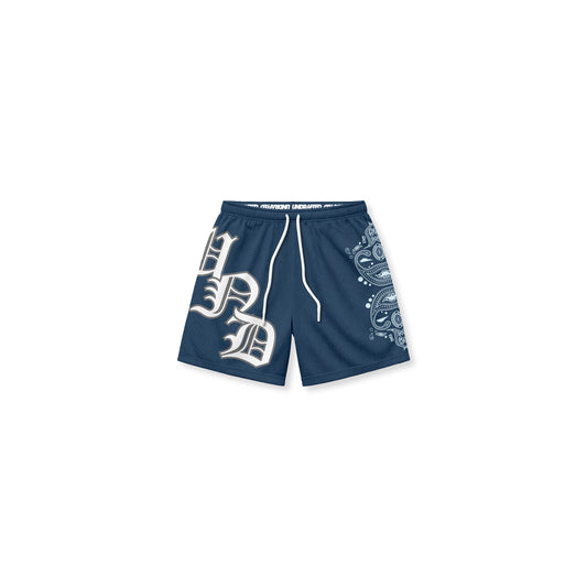 Canterbury Aegean Baggy Mesh Shorts