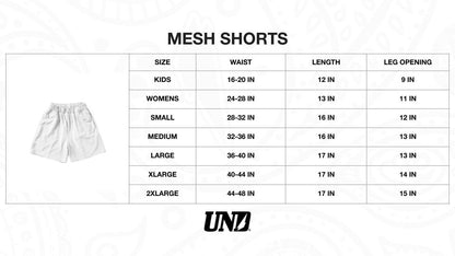 BDN Volt Lilac Mesh Shorts