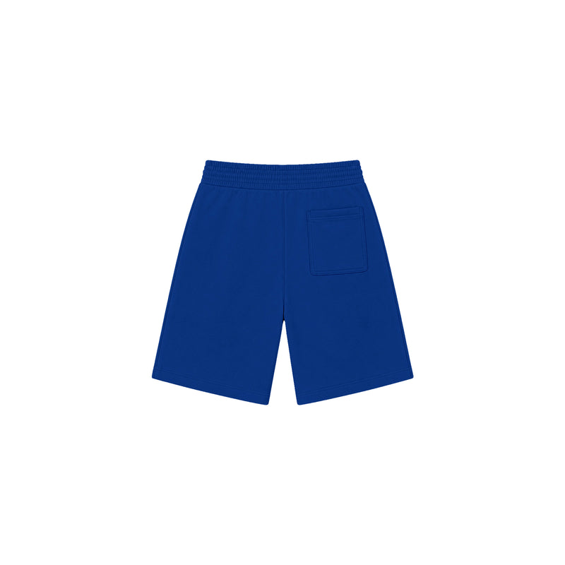 UND Athletics Baggy Sweatshorts in Lapis