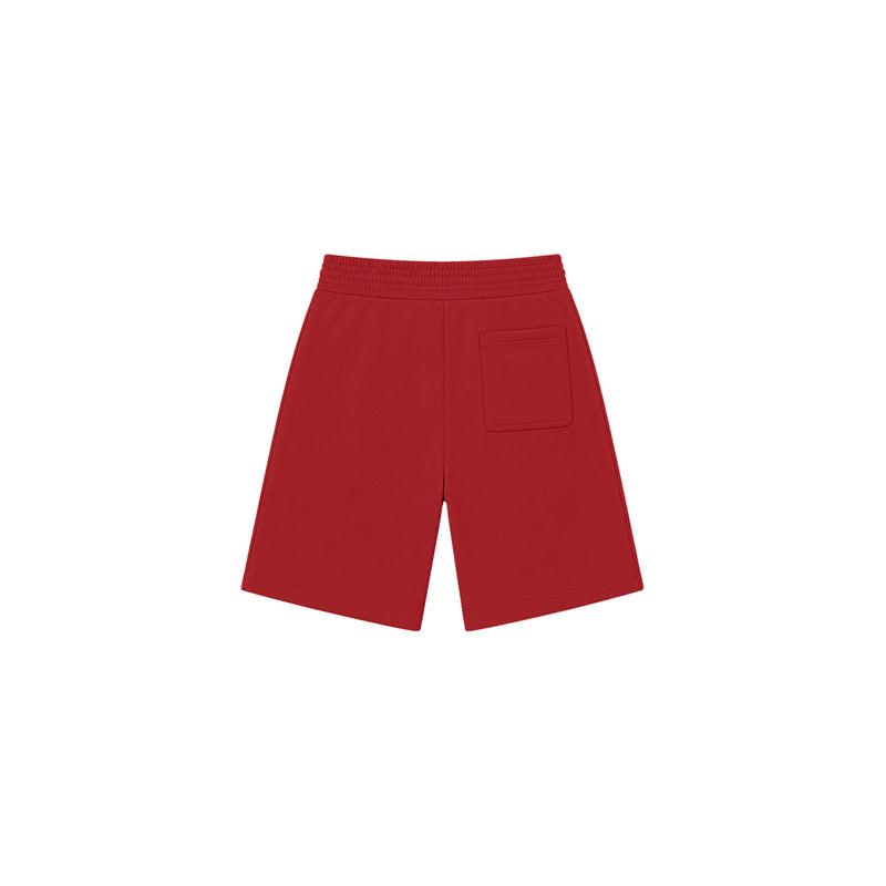 UND Athletics Baggy Sweatshorts in Stendhal