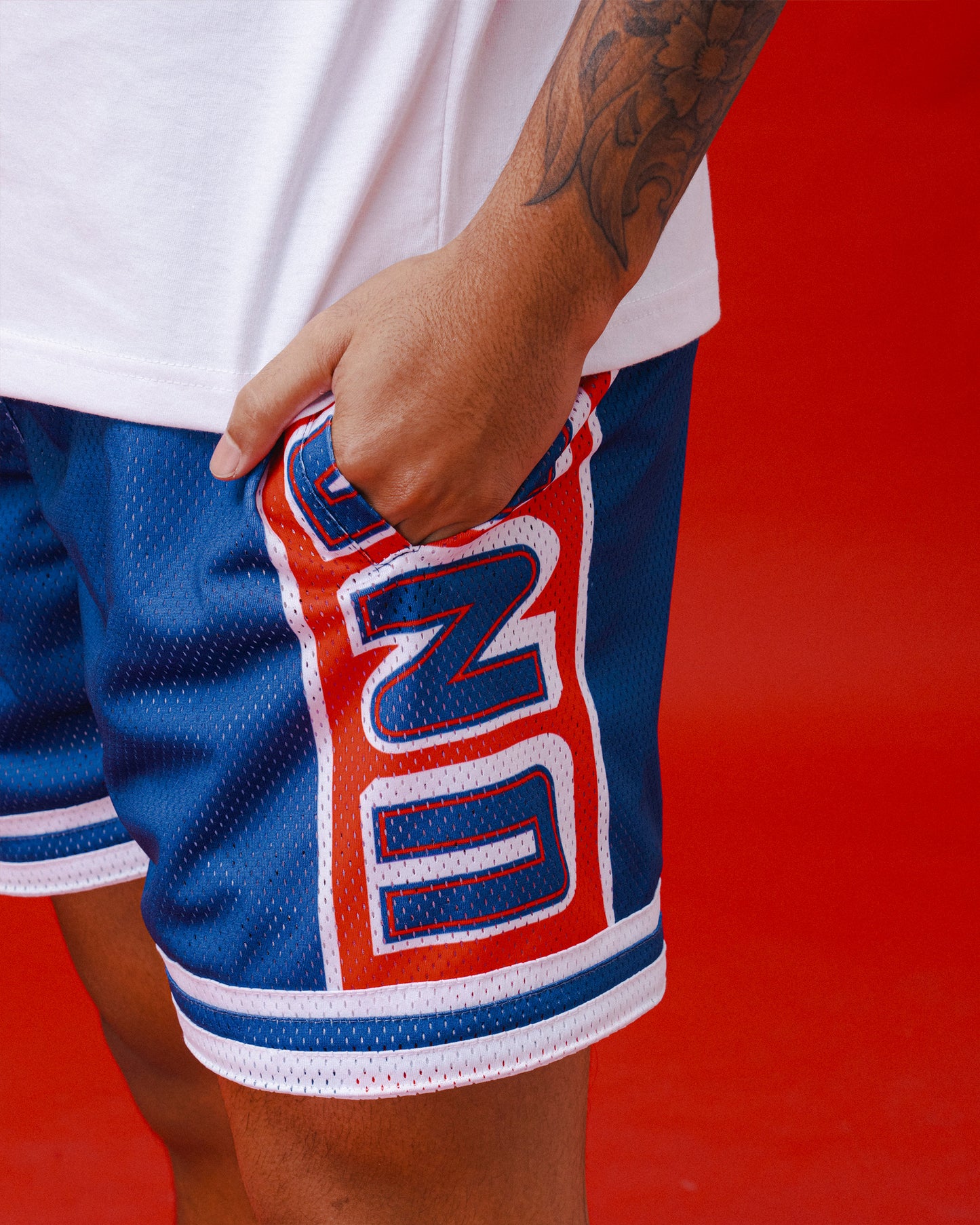 USA Olympic Mesh Shorts