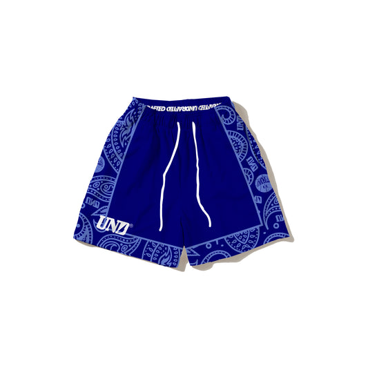 Bandana V3 Navy Mesh Shorts