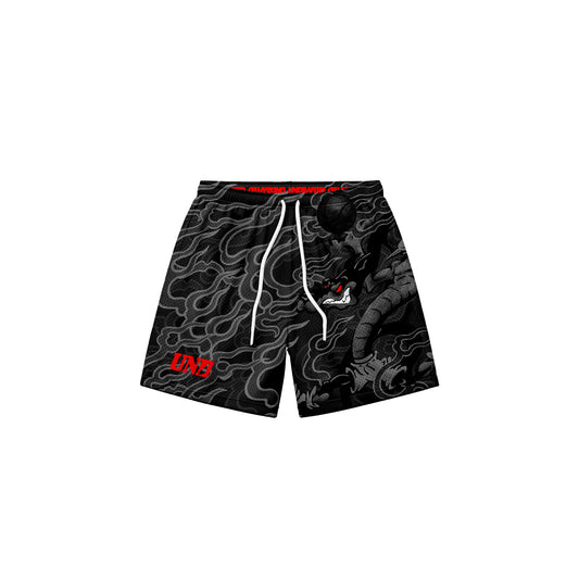 DRACO Baggy Mesh Shorts