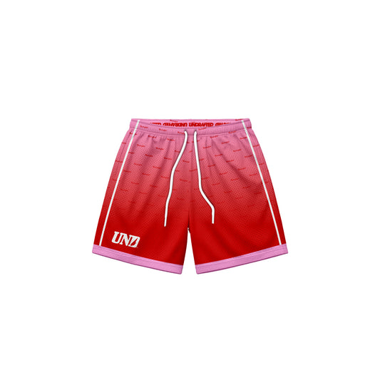 UND1600 Fade Baggy Mesh Shorts "STRAWBERRY"